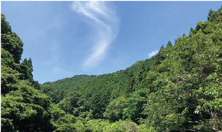 香呂・溝口駅前活性化委員会